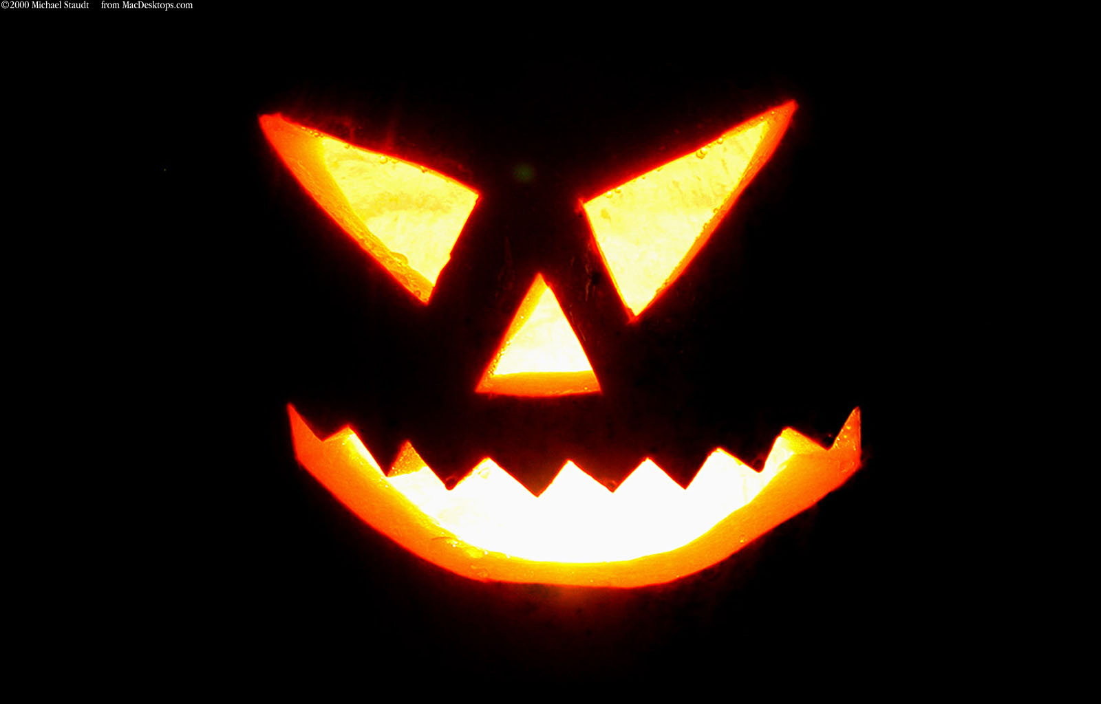 jackolantern1600x1024.jpg