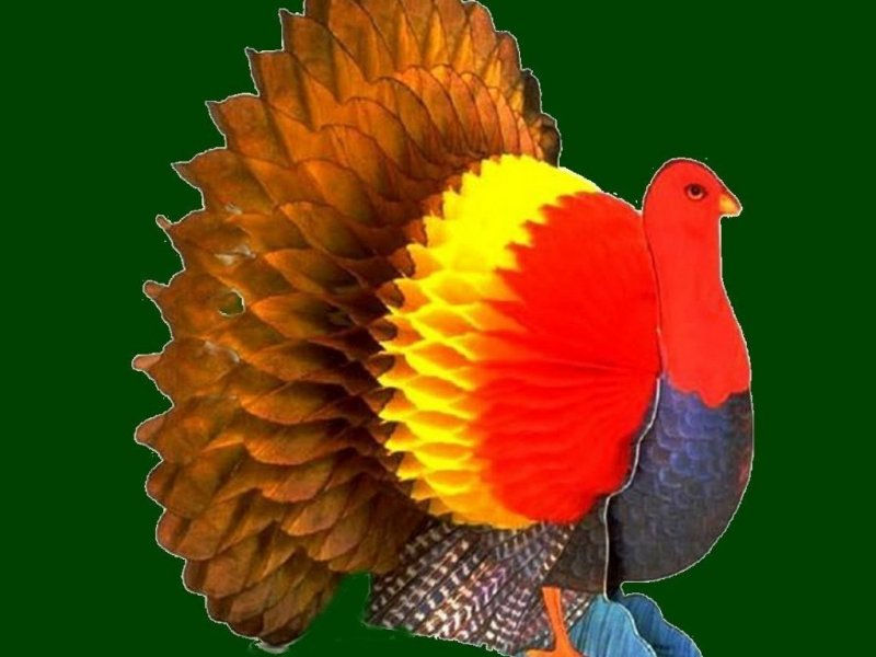 turkeygreenbk.jpg