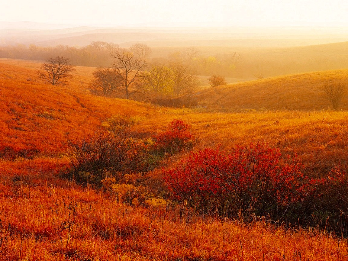 autumn_prairie.jpg