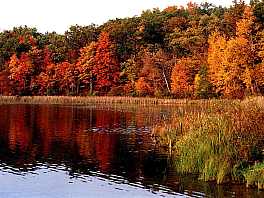 autumn_pond.jpg