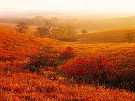 autumn_prairie.jpg